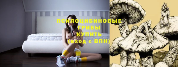 таблы Армянск