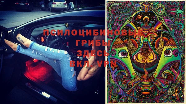СК Аркадак