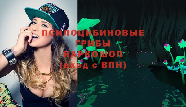СК Аркадак