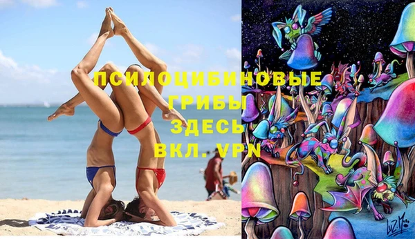 винт Балахна