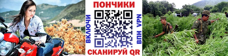 Бошки марихуана White Widow  наркотики  Валдай 